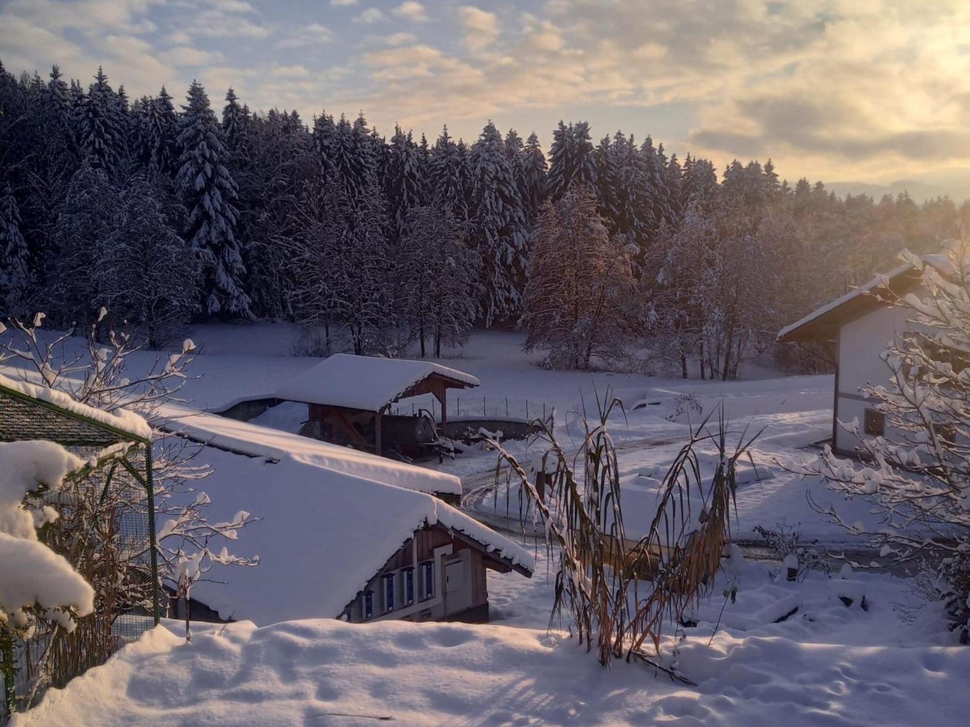 Ferienwohnung Im Bayerischen Wald Mit Terrasse Фихтах Экстерьер фото